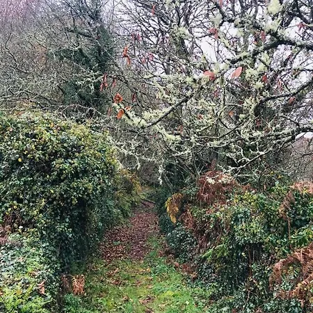 Ahio San Martin, Rurales Casa De La