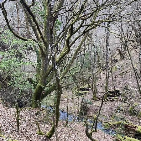 Ahio San Martin, Rurales Casa De La * San Martin de Oscos