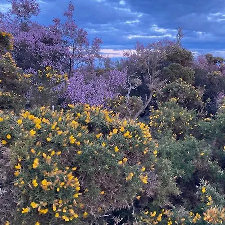 Apartament Ahio San Martin, Rurales Casa De La *