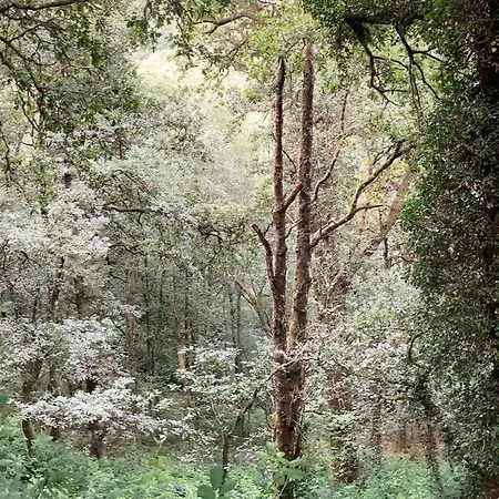 Ahio San Martin, Rurales Casa De La Apartament