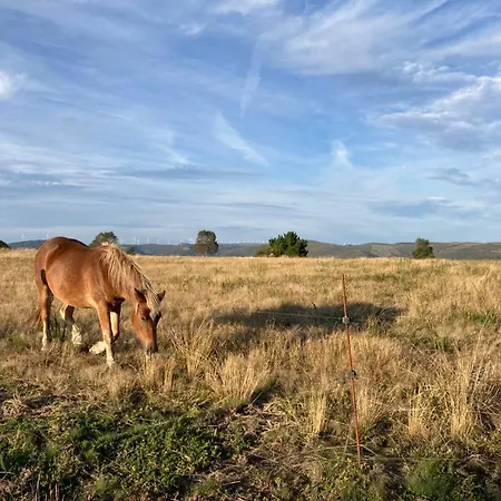Ahio San Martin, Rurales Casa De La