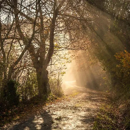 Ahio San Martin, Rurales Casa De La