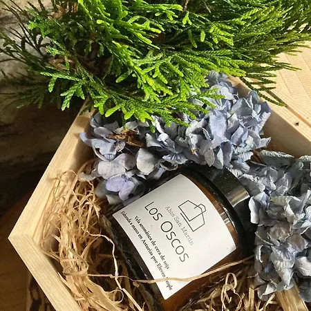 Apartament Ahio San Martin, Rurales Casa De La San Martin de Oscos